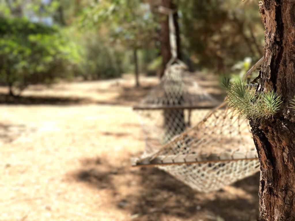 Villa Mica Λα Μανταλένα Εξωτερικό φωτογραφία