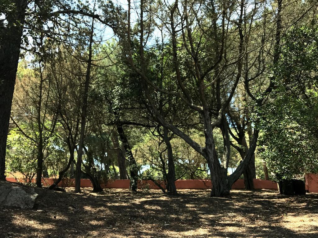 Villa Mica Λα Μανταλένα Εξωτερικό φωτογραφία