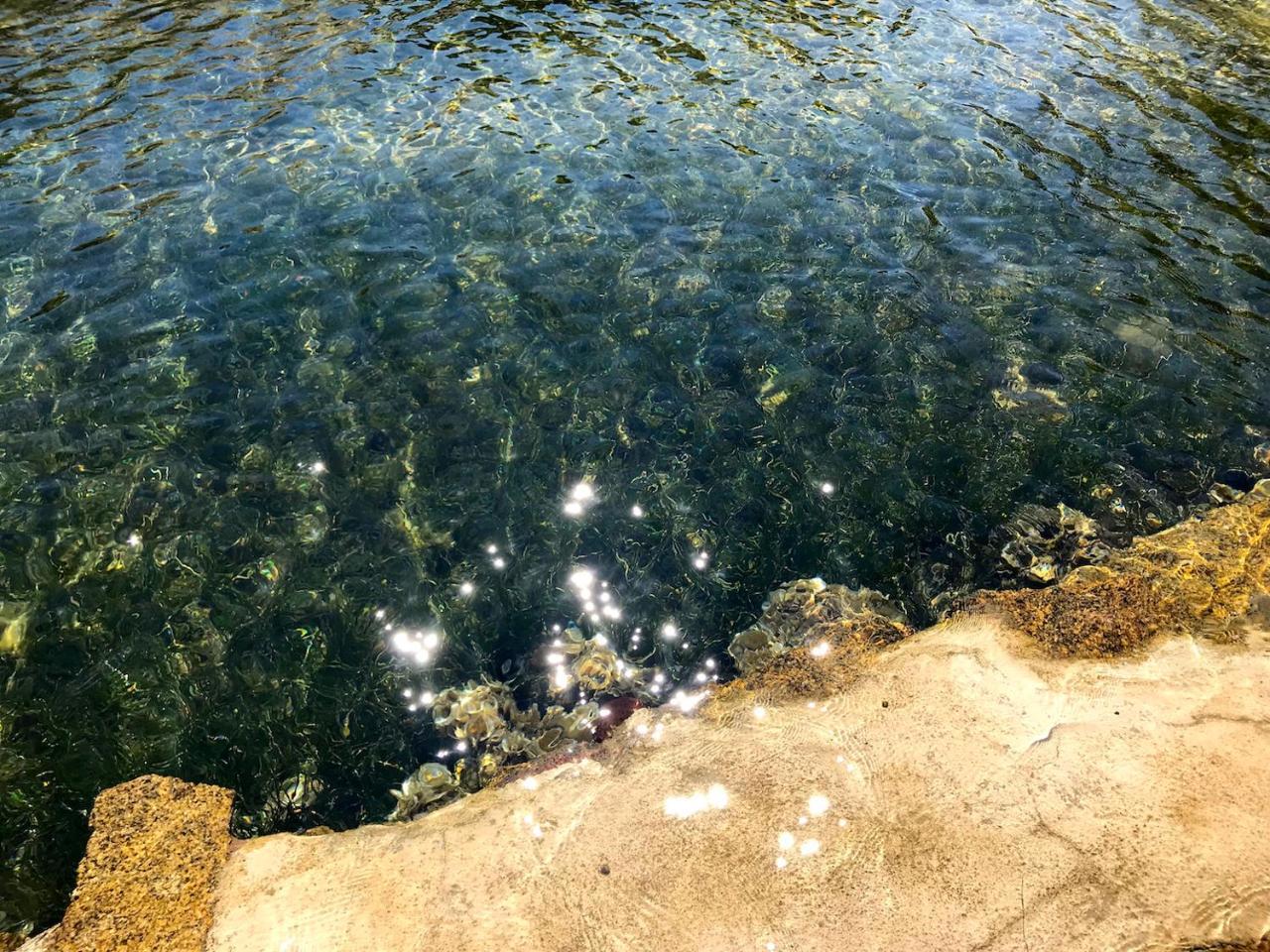 Villa Mica Λα Μανταλένα Εξωτερικό φωτογραφία